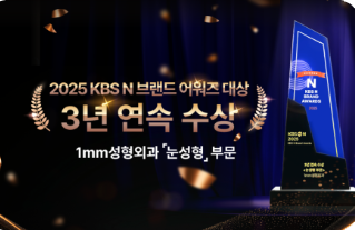 KBS N 브랜드 어워즈 대상