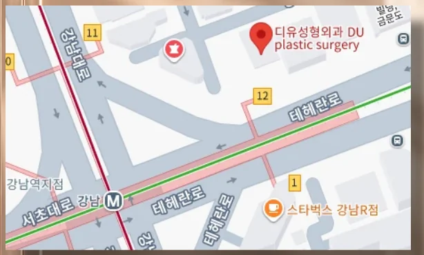디유성형외과 오시는 길 지도