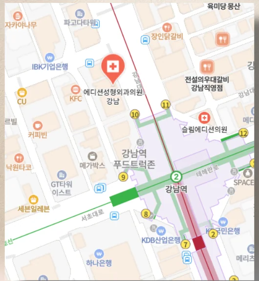 에디션성형외과 오시는 길 지도