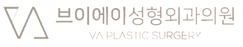 브이에이성형외과의원 로고